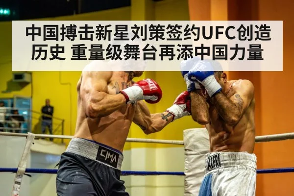 heavyweight boxing