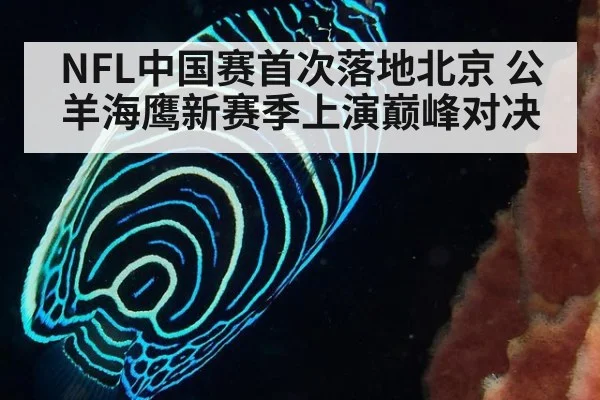NFL中国赛首次落地北京 公羊海鹰新赛季上演巅峰对决